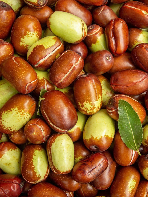 Jojoba Oil