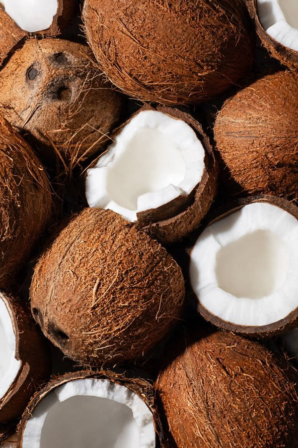 Fractionated Coconut Oil